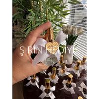  Özel Tasarım Şişede Sprey Kolonya Şişesi