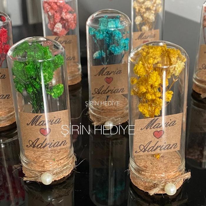 İncili Fanus Şişede Doğal Çiçek 