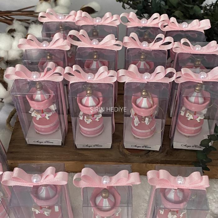 Kutuda Atlı Karınca Hediyesi