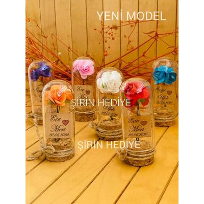 Mini Cam Fanus İçinde Gül Nikah Nişan Söz Bebek Hediyelikleri