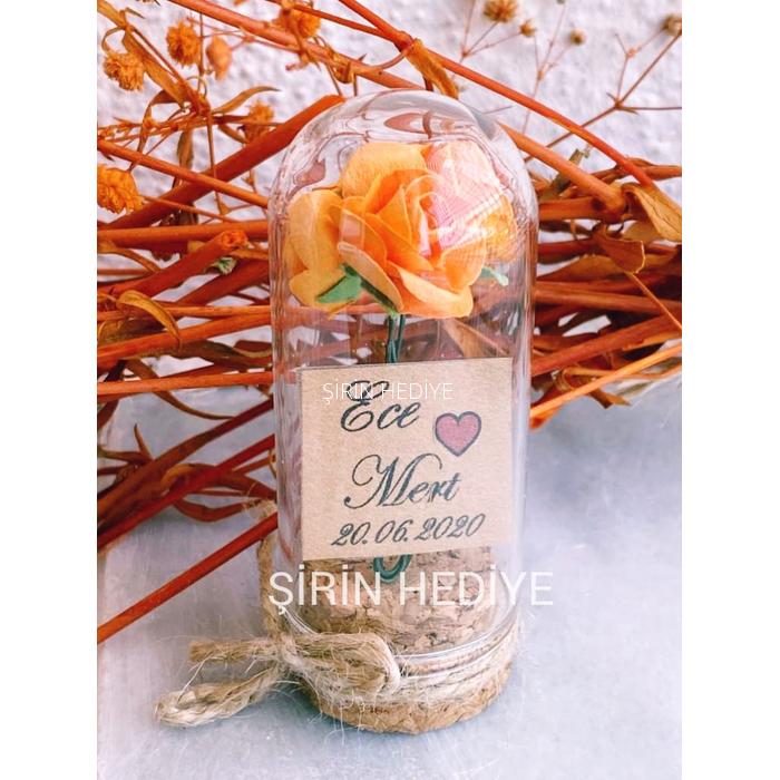 Mini Cam Fanus İçinde Gül Nikah Nişan Söz Bebek Hediyelikleri