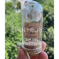 Mini Cam Fanus İçinde Gül Nikah Nişan Söz Bebek Hediyelikleri