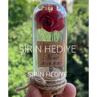 Mini Cam Fanus İçinde Gül Nikah Nişan Söz Bebek Hediyelikleri