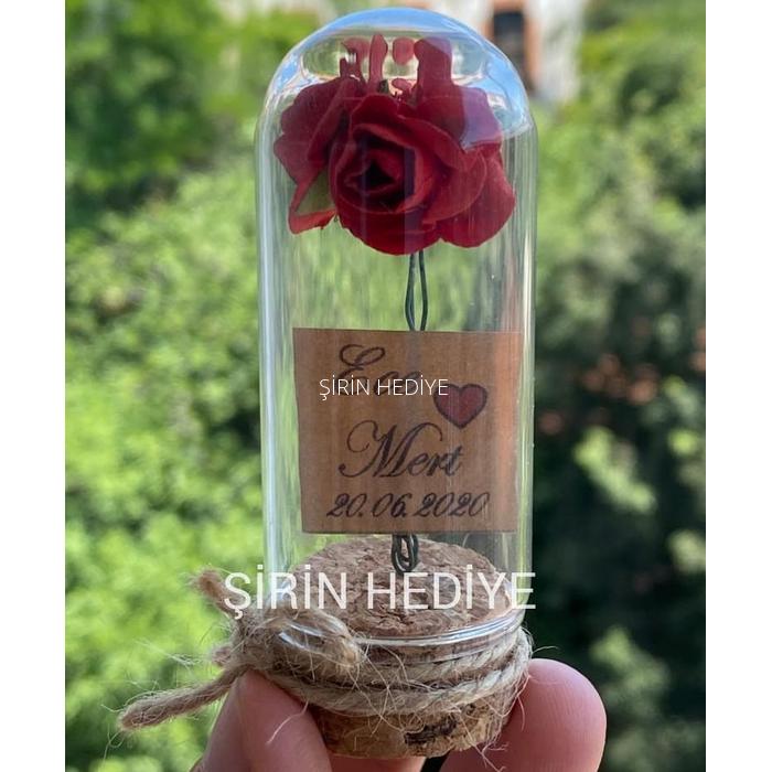 Mini Cam Fanus İçinde Gül Nikah Nişan Söz Bebek Hediyelikleri