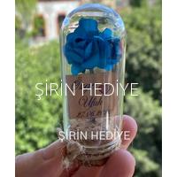 Mini Cam Fanus İçinde Gül Nikah Nişan Söz Bebek Hediyelikleri