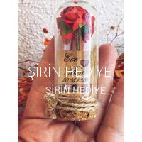 Mini Cam Fanus İçinde Gül Nikah Nişan Söz Bebek Hediyelikleri