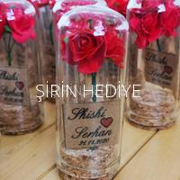 Mini Fanus Tasarım Kırmızı Gül Söz Nişan Nikah Hediyelikleri