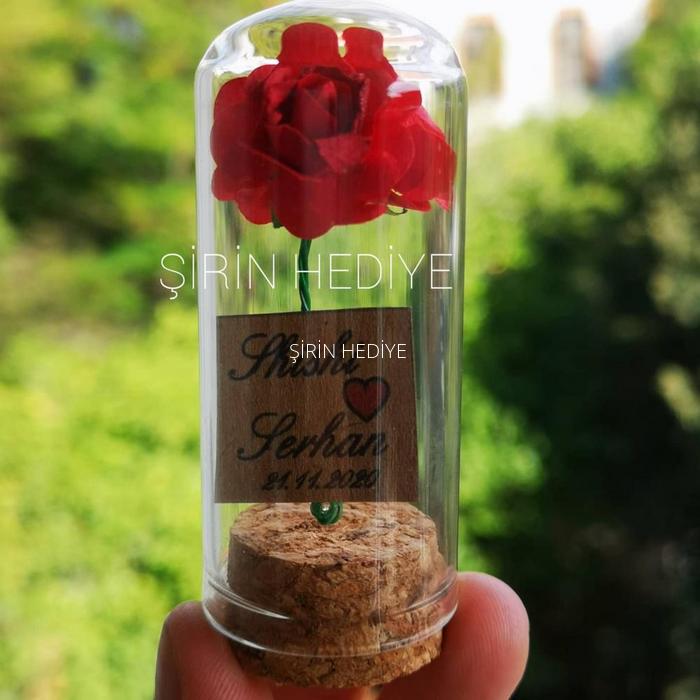 Mini Fanus Tasarım Kırmızı Gül Söz Nişan Nikah Hediyelikleri