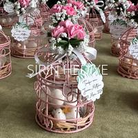 Pembe Kafes İçinde Kuşlar ve Badem Şekeri