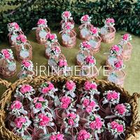 Pembe Kafes İçinde Kuşlar ve Badem Şekeri