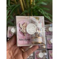 Pembe Magnet Peri Kızı Beyaz Atlı Karınca Set