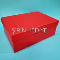 Sevimli Panda Kupa Bardak Hediye Seti