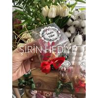 Yılbaşı Özel Ahşap Magnet Atlı Karınca Kutusu